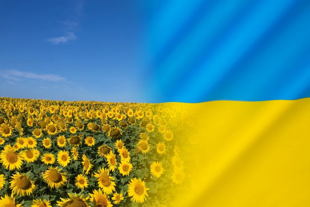 Ukraine - Sunflower - National Flag and Flower of Ukraine